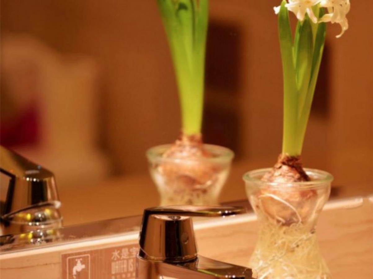 Greentree Inn Beijing Dongcheng District Wangfujin South Luogu Lane Houhai Express Hotel Eksteriør bilde